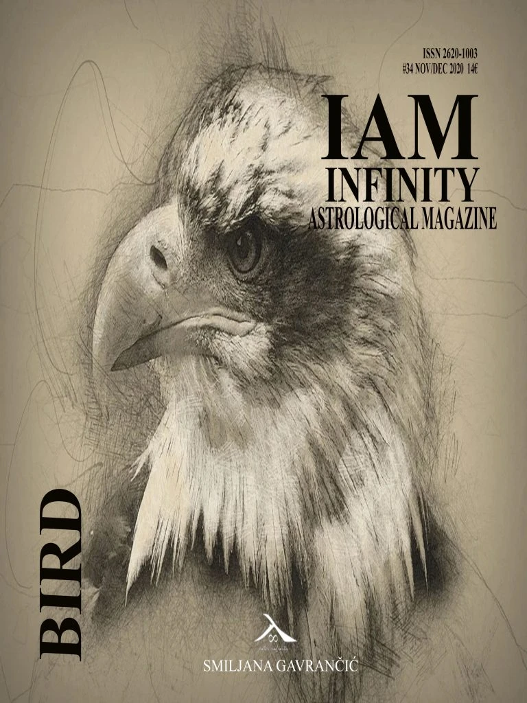 BIRD #IAM34 November/December 2020 - Order your digital/hard copy!